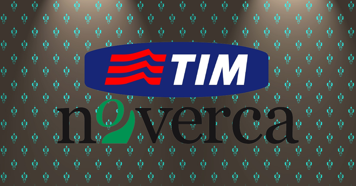 tim noverca