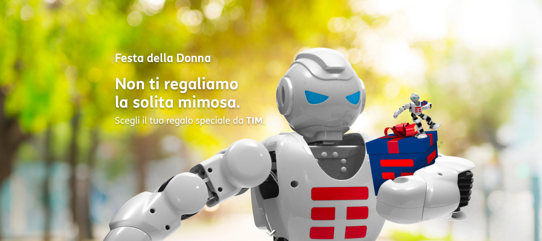 festa donna tim