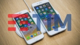 TIM, i nuovi iPhone 8 ed Apple Watch dal 22 Settembre