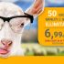 Poste Mobile: raddoppio dei  GB con la promo Porta un Amico
